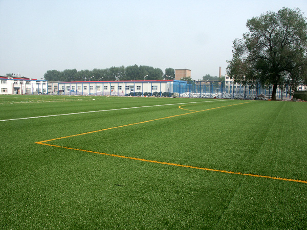 CY-YBL-042